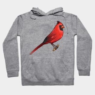 Northern cardinal bird cartoon illustration Hoodie